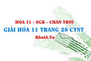 Giải Hóa 11 trang 28 Chân trời Sáng tạo